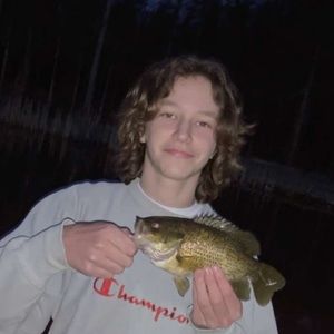 Meet your Posher, Thomas